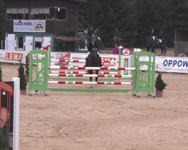Reitturnier Ranshofen - Braunau am Inn 2025