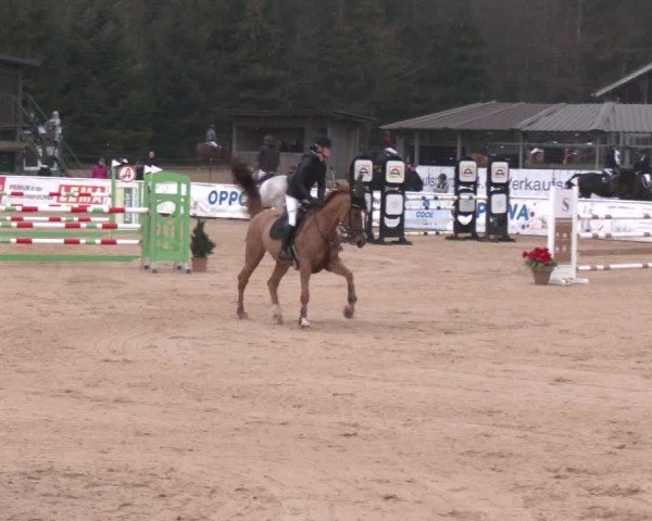 Reitturnier Ranshofen - Braunau am Inn 2025