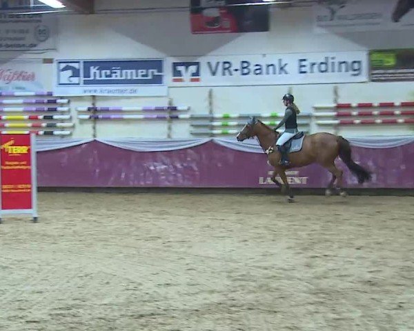 Reitturnier Eicherloh 2025