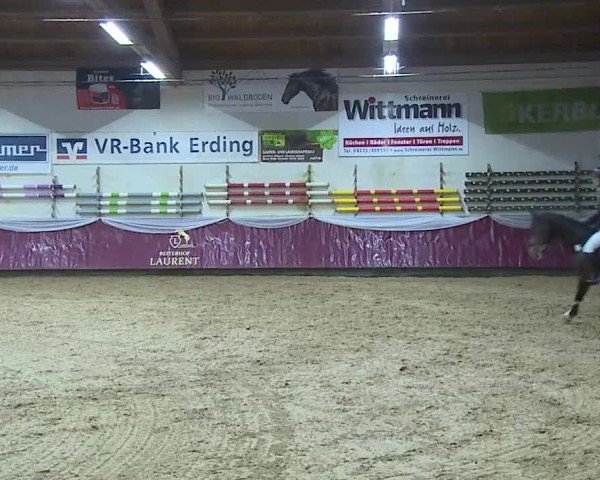 Reitturnier Eicherloh 2025