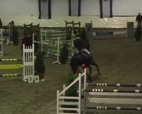 16. Legdener Pony-Meeting