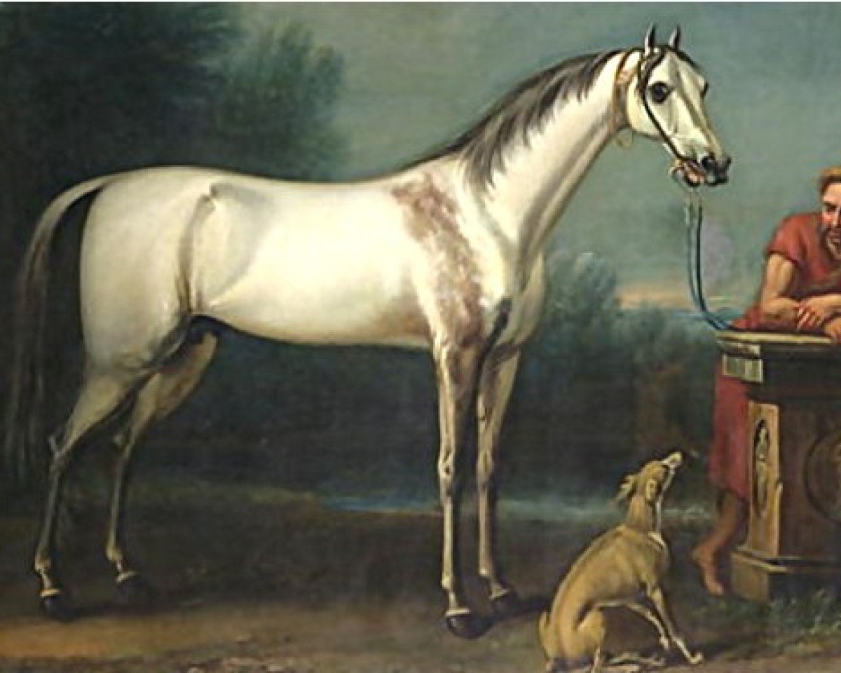 Deckhengst Old Morocco Barb xx (Englisches Vollblut, 1633, von RJ Ransom)