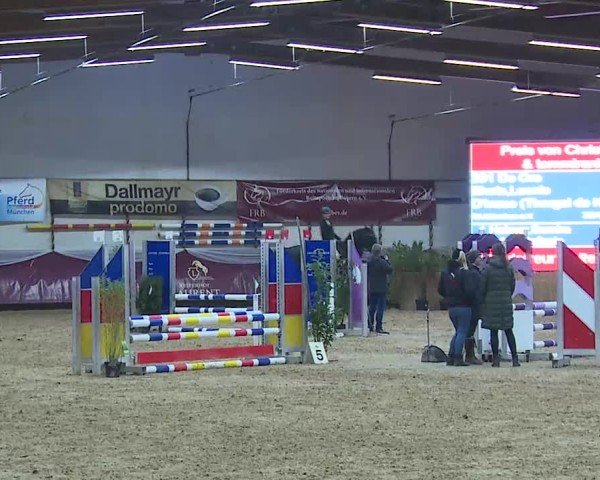 Reitturnier Eicherloh 2025