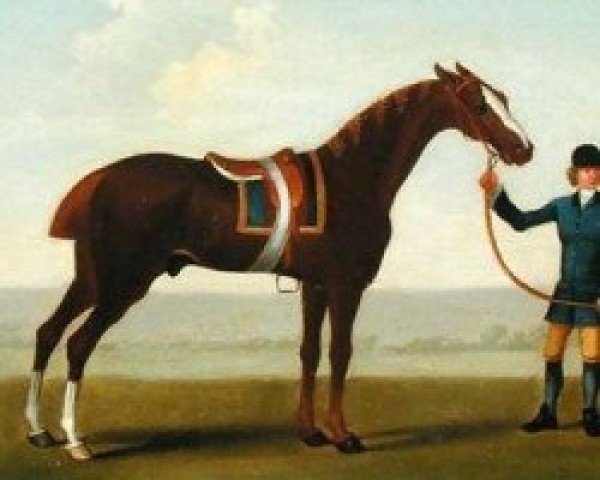stallion Spanker xx (Thoroughbred, 1670, from Darcys Yellow Turk)
