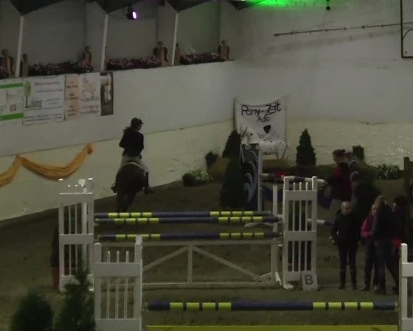 16. Legdener Pony-Meeting