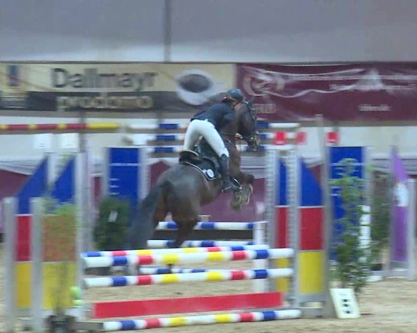 Torneo Equestre Eicherloh 2025