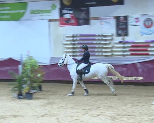 Reitturnier Eicherloh 2025