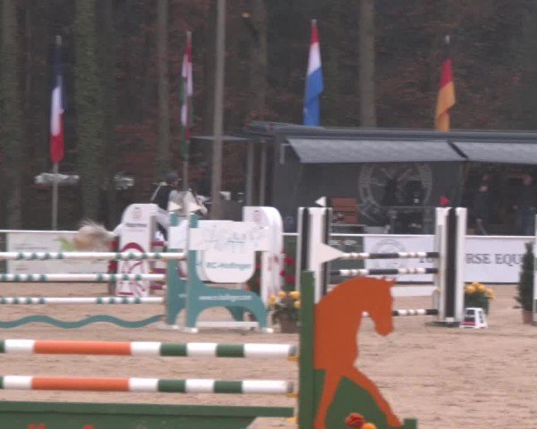 Reitturnier Ranshofen - Braunau am Inn 2025