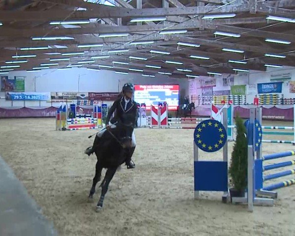 Reitturnier Eicherloh 2025