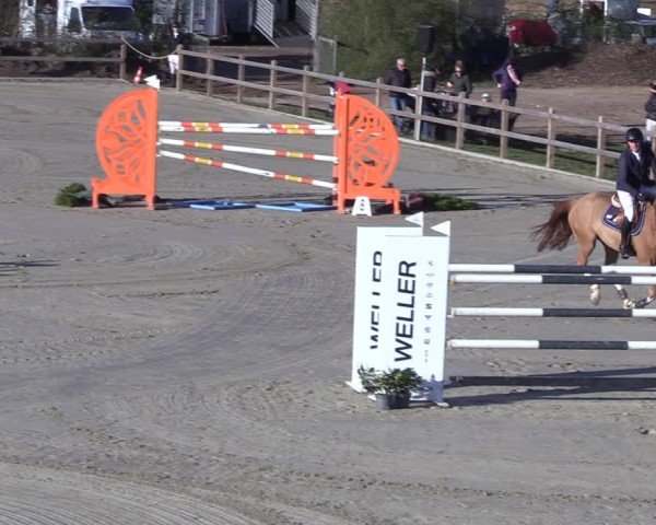 Reitturnier Scharnebeck 2025