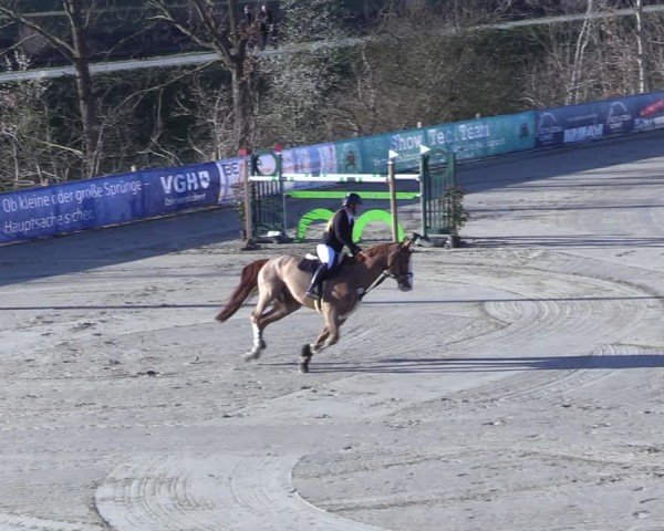 Reitturnier Scharnebeck 2025