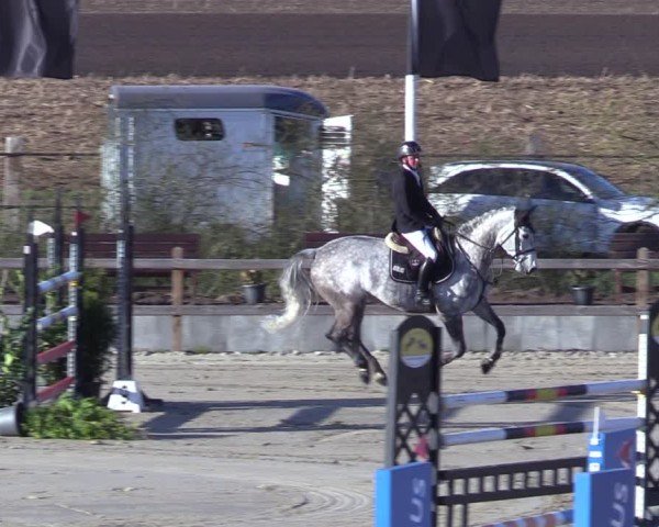 Reitturnier Scharnebeck 2025