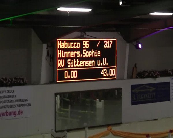 16. Legdener Pony-Meeting