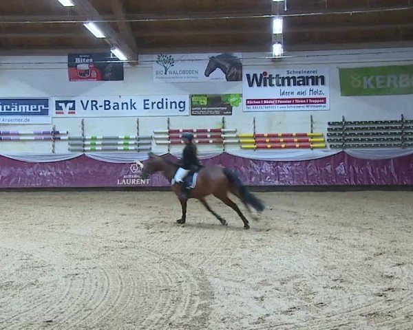 Reitturnier Eicherloh 2025