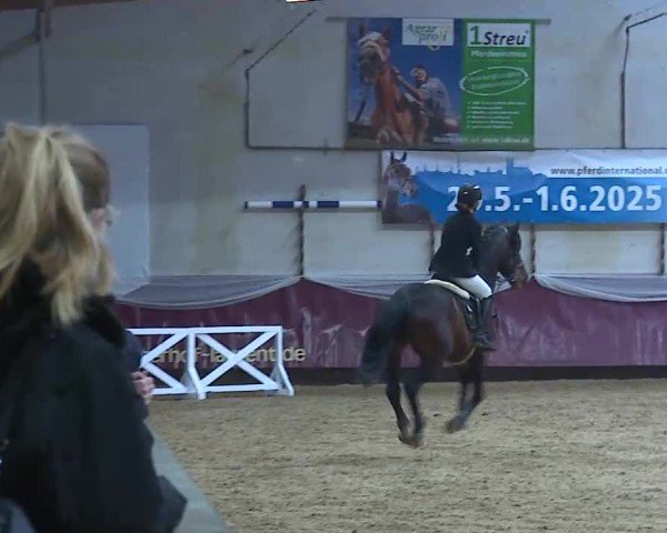 Reitturnier Eicherloh 2025