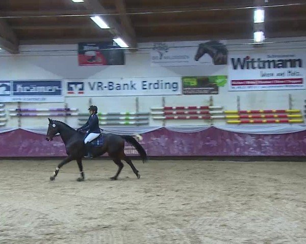 Reitturnier Eicherloh 2025
