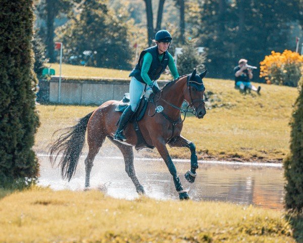 jumper Lady Ciacomo (Westphalian, 2018, from Ciacomo)