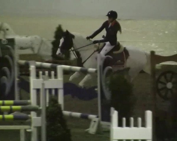 Reitturnier Legden 2013