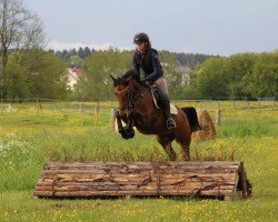broodmare Mayra 9 (German Riding Pony, 2011, from Nemax)