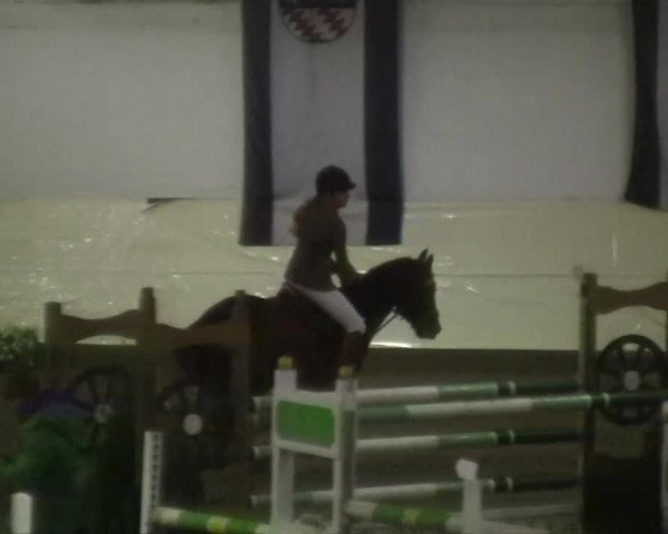 16. Legdener Pony-Meeting