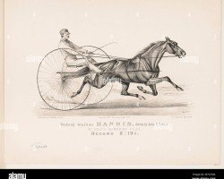 stallion Mambrino xx (French Trotter, 1806, from Messenger xx)