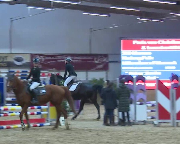 Reitturnier Eicherloh 2025