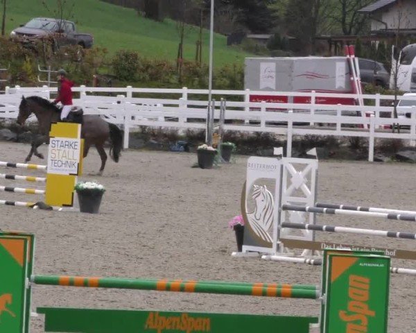 Reitturnier St. Margarethen 2025