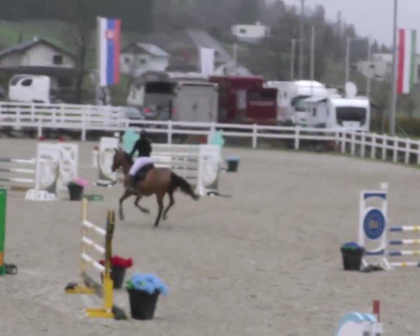 Reitturnier St. Margarethen 2025