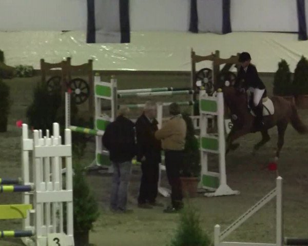 16. Legdener Pony-Meeting