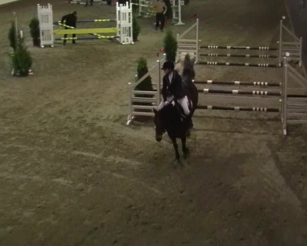 16. Legdener Pony-Meeting