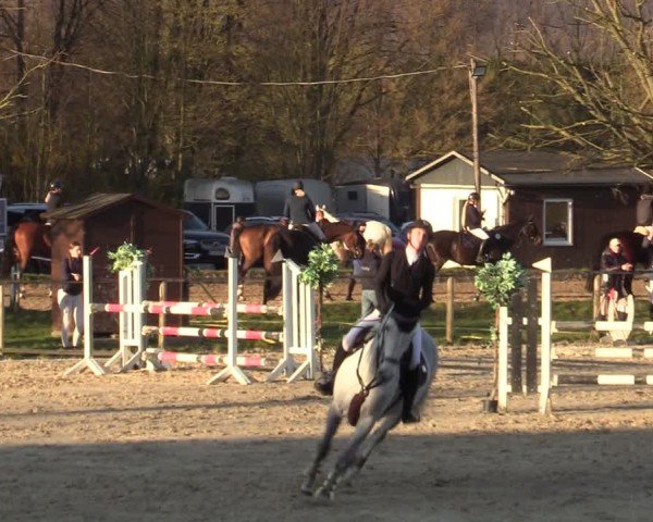 Reitturnier Springe 2025
