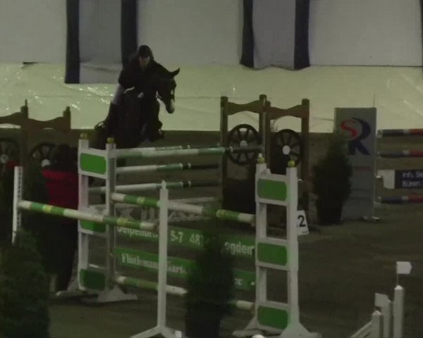 16. Legdener Pony-Meeting