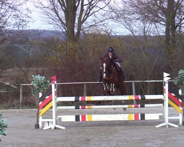 Reitturnier Springe 2025