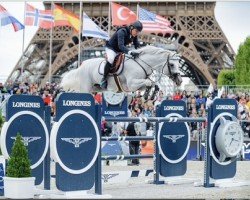 jumper Equine America Grandino H (KWPN (Royal Dutch Sporthorse), 2011, from Calvino Z)