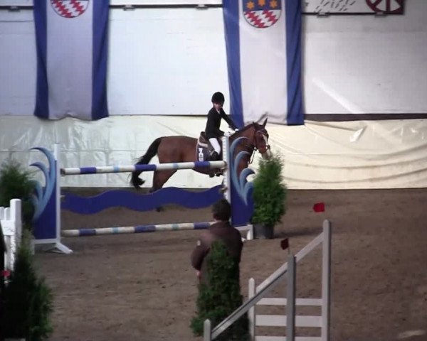 16. Legdener Pony-Meeting