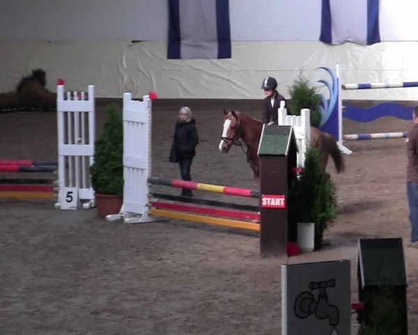 16. Legdener Pony-Meeting