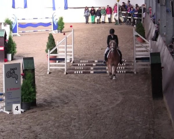 16. Legdener Pony-Meeting