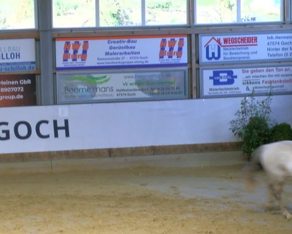 Reitturnier Goch 2025