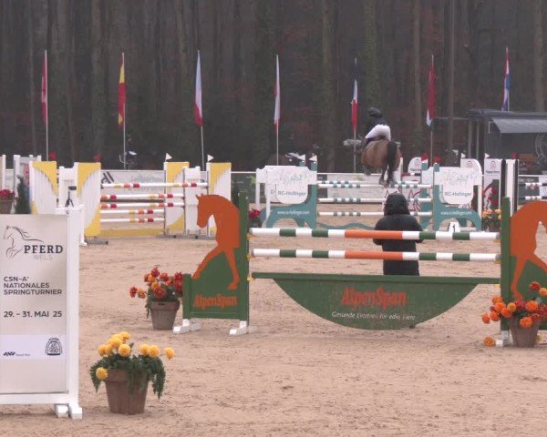 Reitturnier Ranshofen - Braunau am Inn 2025