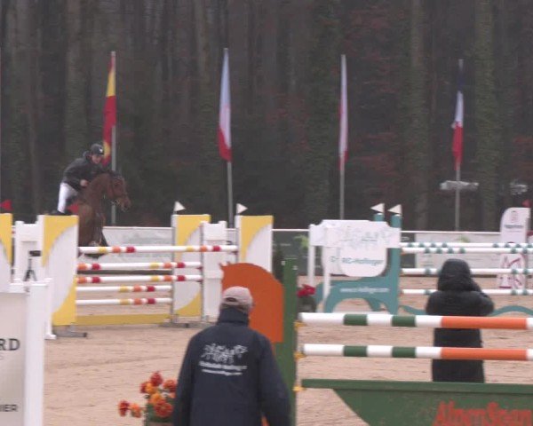 Reitturnier Ranshofen - Braunau am Inn 2025