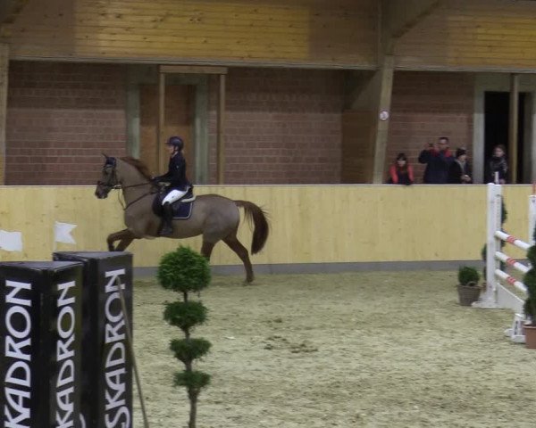 Reitturnier Paderborn 2021