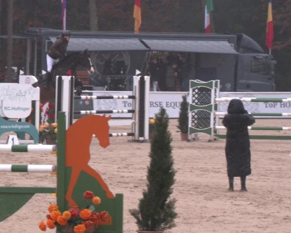 Reitturnier Ranshofen - Braunau am Inn 2025
