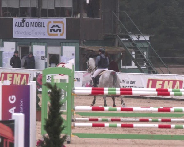 Reitturnier Ranshofen - Braunau am Inn 2025