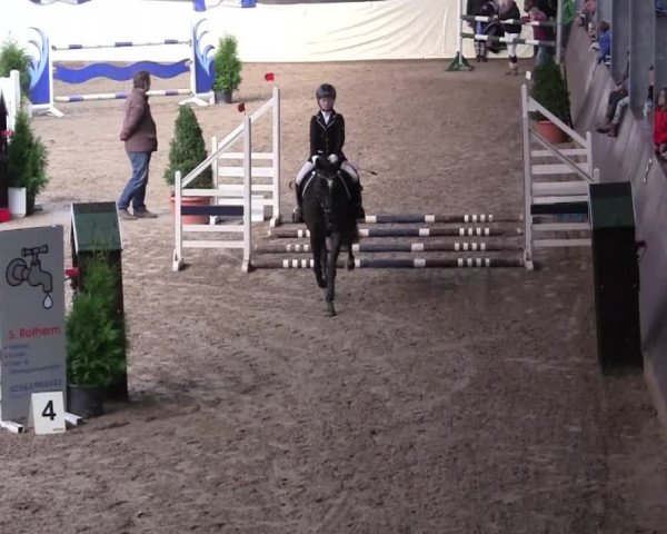 16. Legdener Pony-Meeting