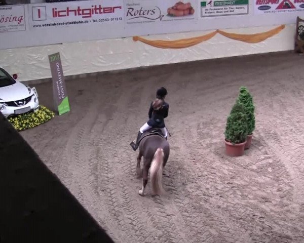 16. Legdener Pony-Meeting