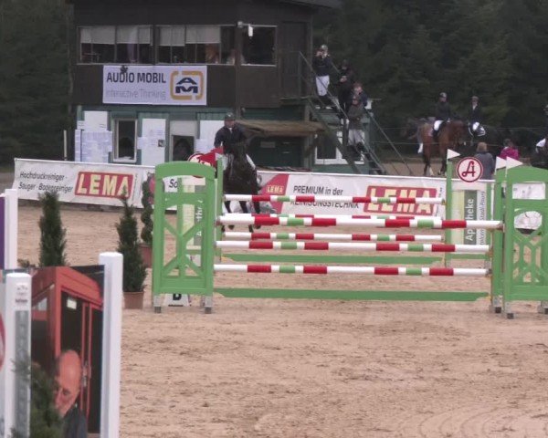 Reitturnier Ranshofen - Braunau am Inn 2025