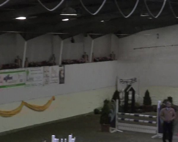 16. Legdener Pony-Meeting