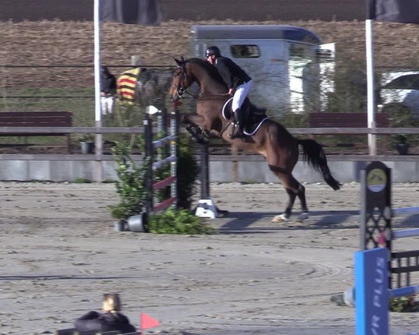 Reitturnier Scharnebeck 2025