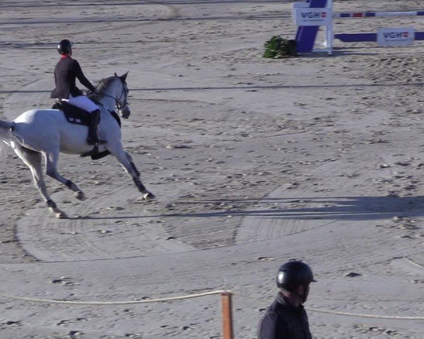 Reitturnier Scharnebeck 2025