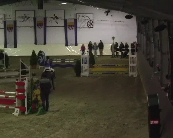 16. Legdener Pony-Meeting